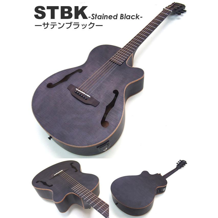 ARIA（アリア） エレアコ アコギ ARIA FET-F2 スタート 初心者 12点