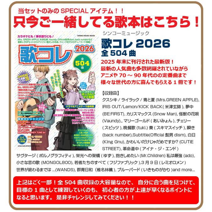 アコースティックギター アコギ 初心者 入門 スペシャル18点＋歌本付
