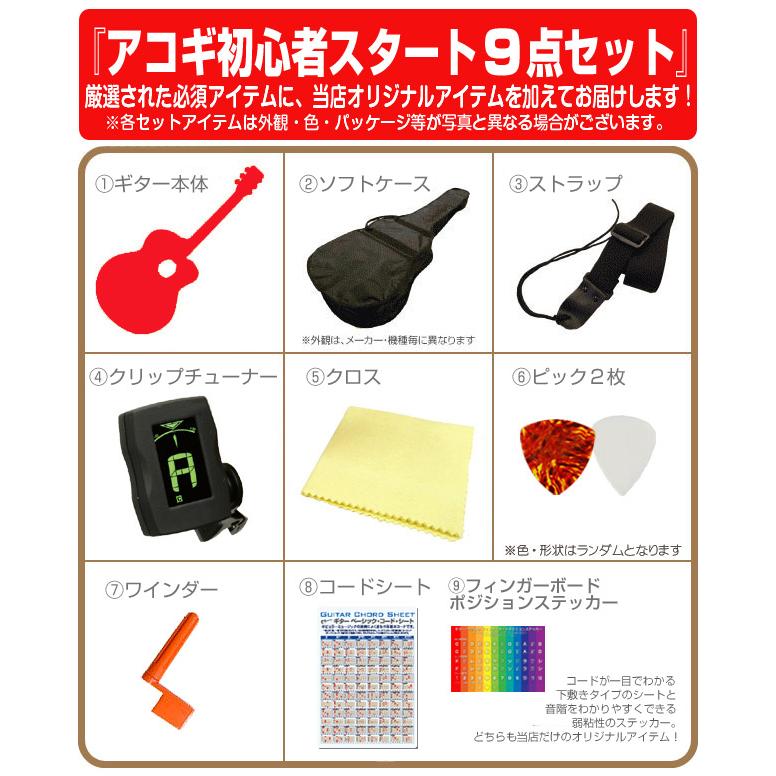 Legend by Aria アコースティックギター　チューナー　ピック Legend by Aria アコースティックギター チューナー ピック