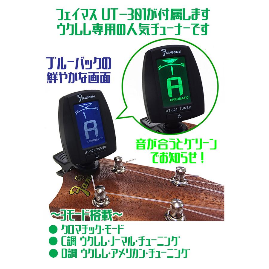 Famous フェイマス FS-1G ハードケース チューナー セット 国産