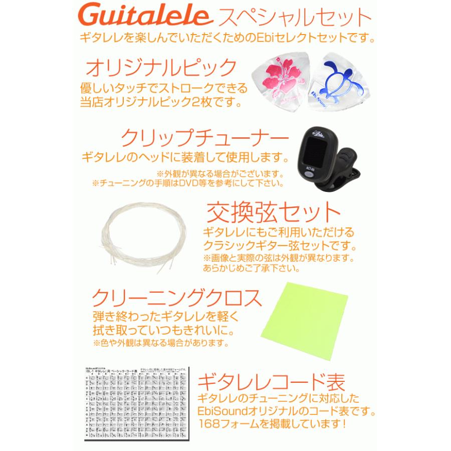 Yamaha アコースティックギター 付属品付き 替え弦、チューナー、クロス等 Yamaha アコースティックギター 付属品付き 替え弦、チューナー