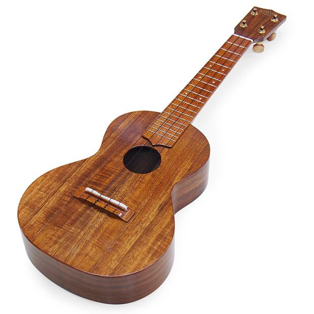 ハワイアンスタイルウクレレをかる～く弾こう！ DVD付き ウクレレ/アロハ~ウクレレ1本で奏でるハワイアン・ミュージック