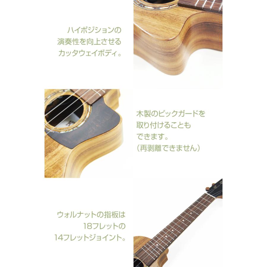 キワヤ ウクレレ KCU-2CE コンサート アカシアコアトップ単板 カッタ
