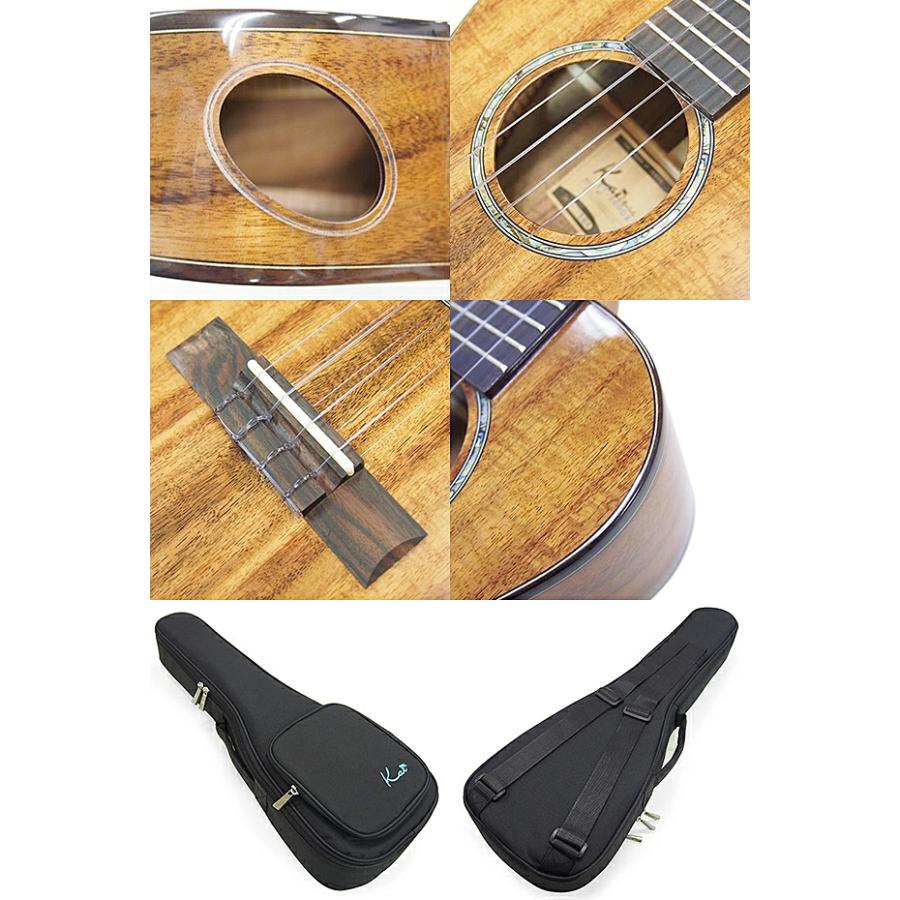 【music ukulele】アカシアコアのエレキ・テナーウクレレ【入門セット】 入門セット】musicアカシアコア材のテナーウクレレ【ウクレレ専門店