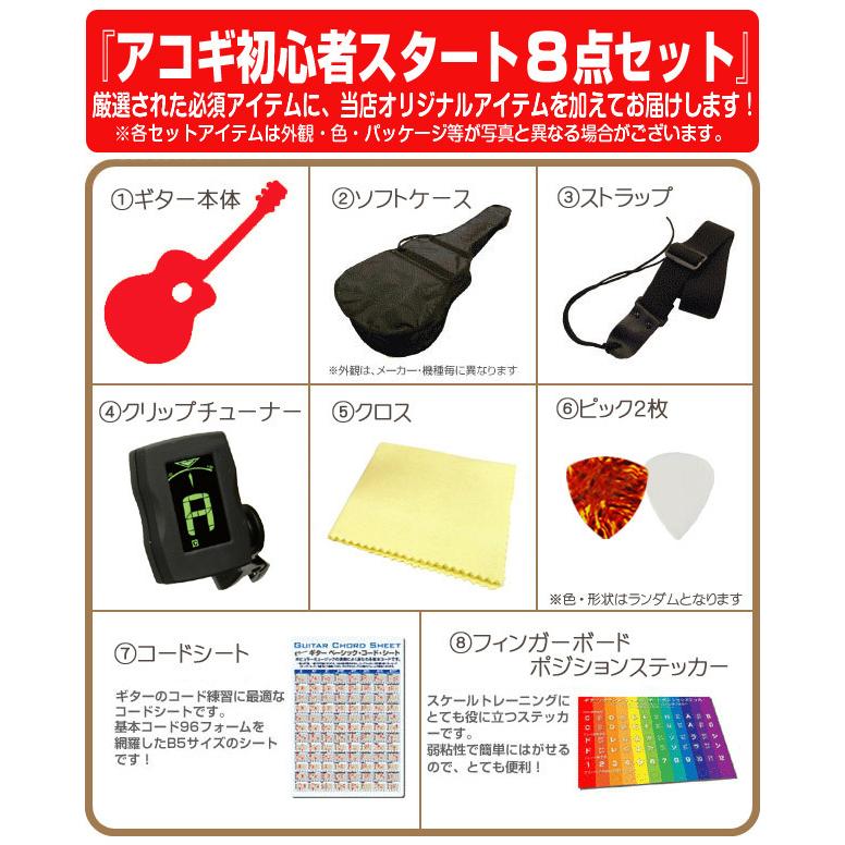アコースティックギター 初心者 超入門 8点セット アコギ Antique Noel