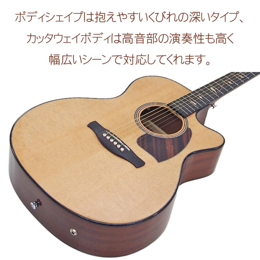 Ibanez（アイバニーズ） 【シールド＆ピックプレゼント！】Ibanez