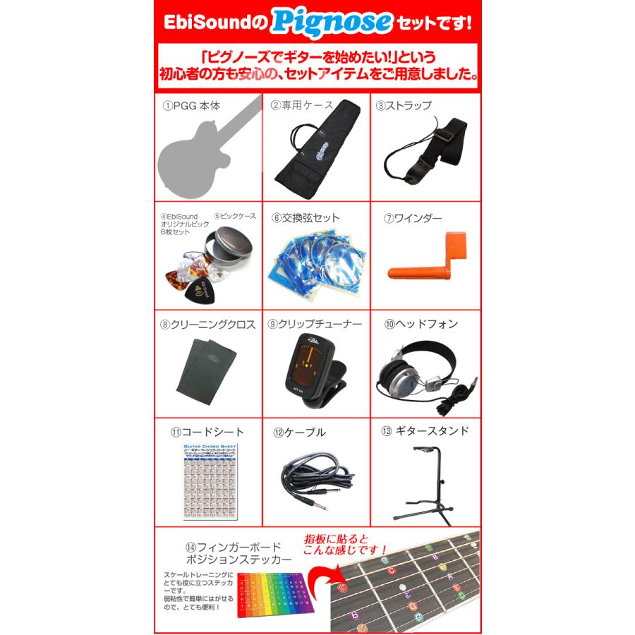 Pignose ピグノーズ PGG-200FM SBL フレイムトップ アンプ内蔵ミニ