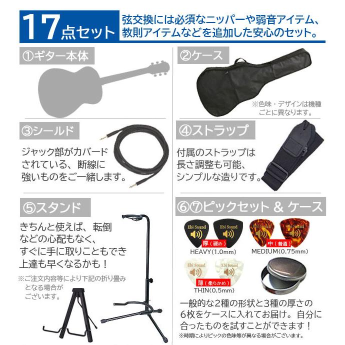 Ibanez（アイバニーズ） エレアコ 初心者セット PN12MHE 17点 入門
