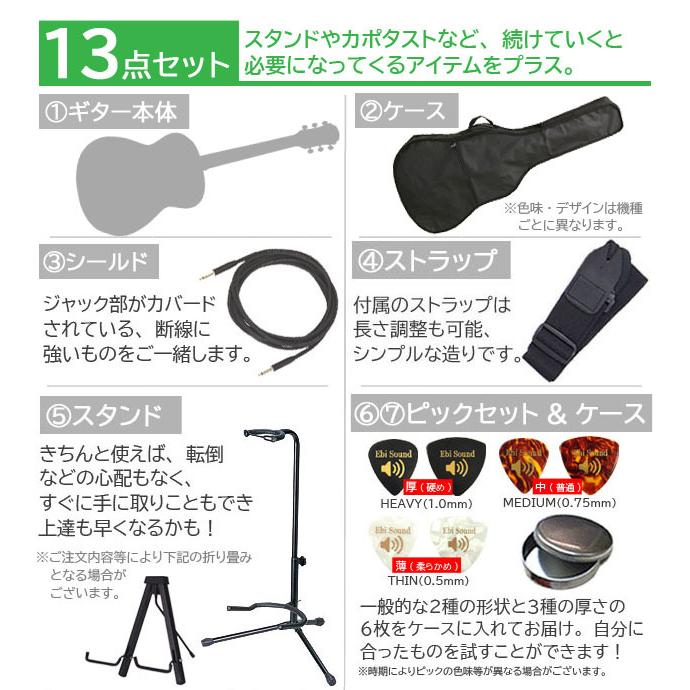 Morris モーリス エレアコ R-011 LH TS 初心者 入門 13点 セット