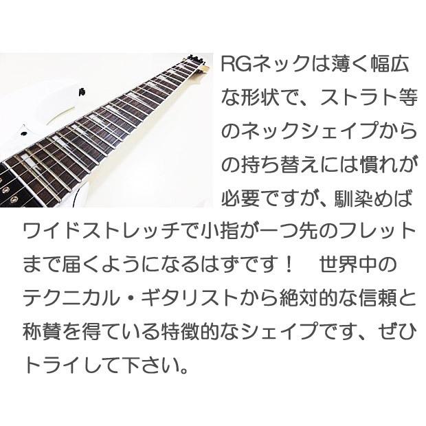 アイバニーズRX170　付属品付き、送料無料。 rg450dxbwh-16x.jpg