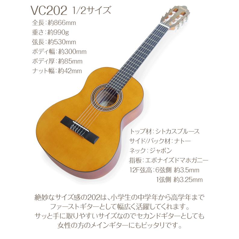 スペイン製 ARIA AC-75CB コントラバスギター トップ単板