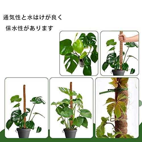 2本セット 園芸支柱 植物支柱 観葉支柱 つる性植物 観葉植物 サポート