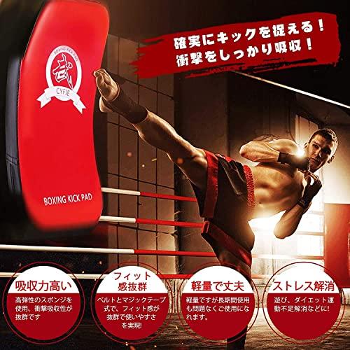 seisso キックミット 空手 ミット ボクシング ミット打ち 格闘技 練習
