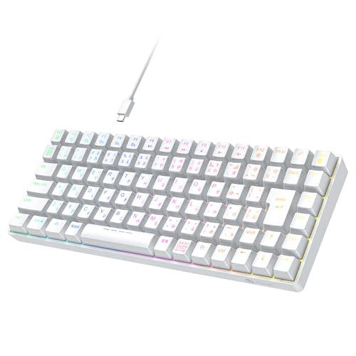 iClever ゲーミングキーボード テンキーレス 赤軸 メカニカル