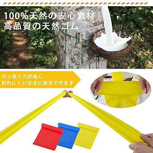 まとめ売り20セットトレーニングチューブ　レジスタンスバンド Amazon.co.jp: Tropchou トレーニングチューブ レジスタンス