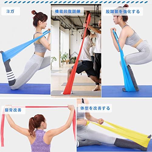 まとめ売り20セットトレーニングチューブ　レジスタンスバンド Amazon.co.jp: YINKE レジスタンスバンド トレーニングチューブ