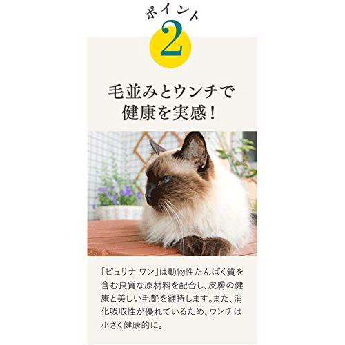 ピュリナ ワン ピュリナワンキャット 美味を求める成猫用チキン 4.4ｋｇ(400g×11袋入)｜ebisstore333｜04