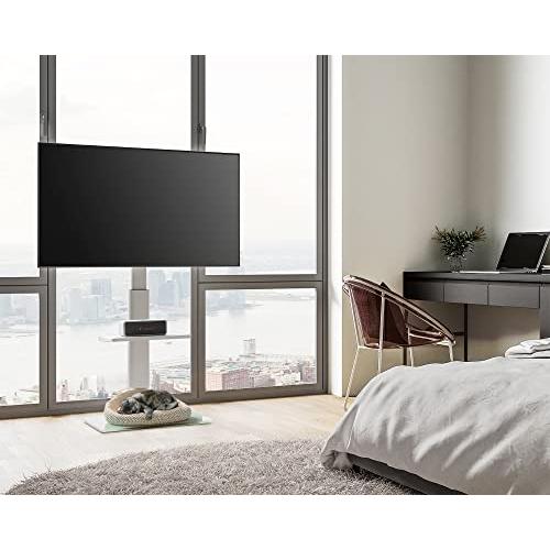 FITUEYES テレビスタンド 32〜60インチ対応 棚付き 壁寄せテレビ