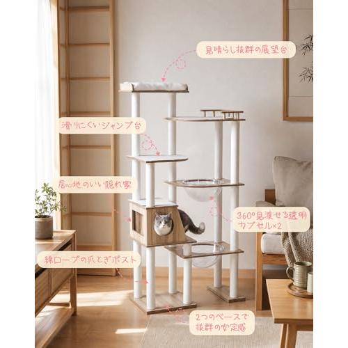 キャットタワー 木製 据え置き 大型猫＆多頭飼い対応 透明ボウル付き
