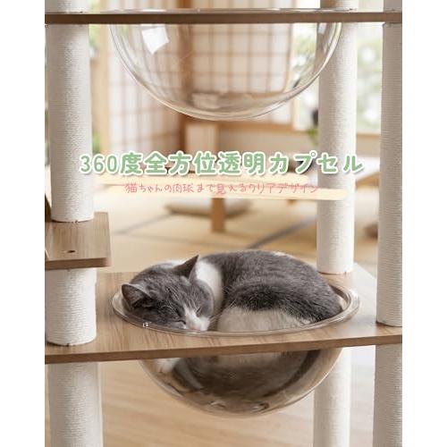 キャットタワー 木製 据え置き 大型猫＆多頭飼い対応 透明ボウル付き
