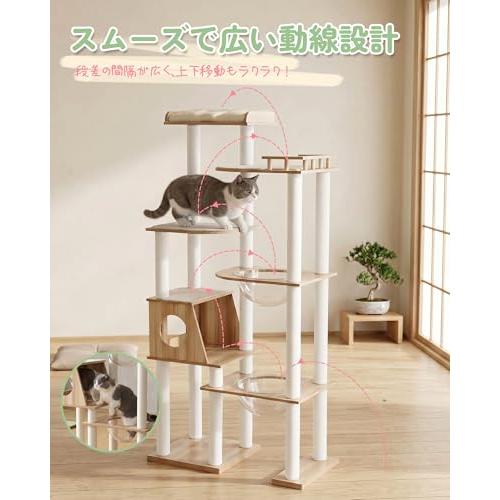 キャットタワー 木製 据え置き 大型猫＆多頭飼い対応 透明ボウル付き
