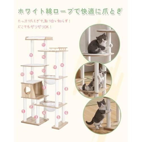 キャットタワー 木製 据え置き 大型猫＆多頭飼い対応 透明ボウル付き