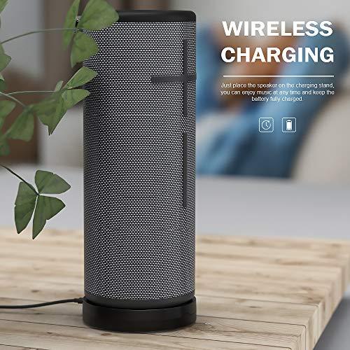 TUSITA パワーアップ 充電器 チャージャー 対応 ULTIMATE EARS