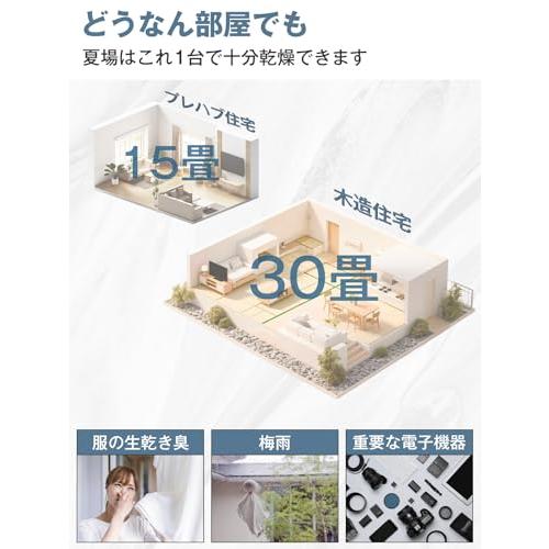 Boweer 除湿機 コンプレッサー式 衣類乾燥 12/L日 強力除湿 30畳 部屋