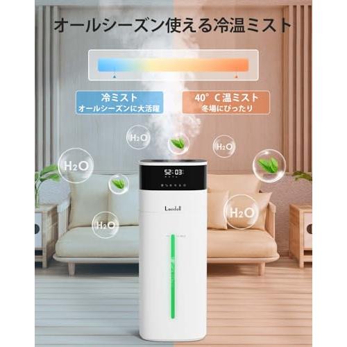 LACIDOLL 加湿器 大容量 20L/最大40畳 ハイブリッド式 スチーム式 加熱