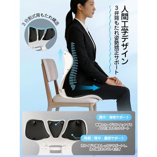 姿勢矯正 椅子 最新型 3 弁式背もたれ×広接触面座面×Poco'ce 掲載 腰が