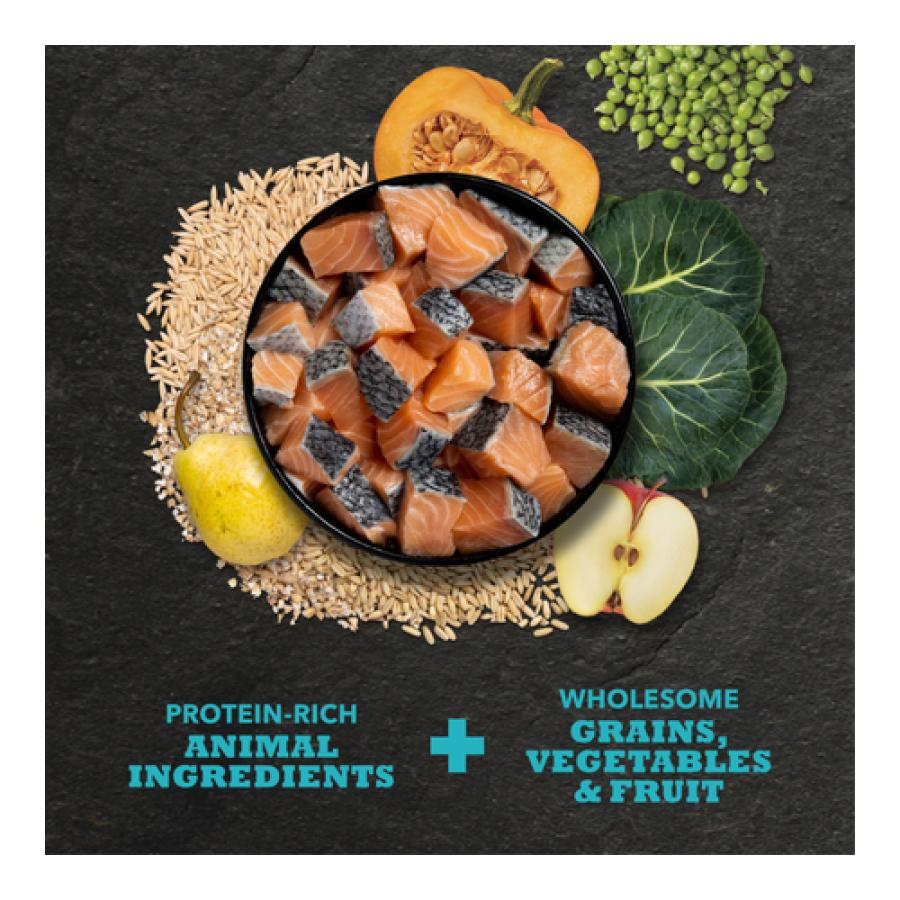 go! サーモンレシピ ドッグフード 中古品 オープンファーム サーモンレシピ ドッグフード 1.81kg : goody