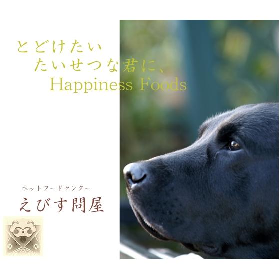 ORIJEN（オリジン） シックス 6 フィッシュ [直輸入] キャットフード