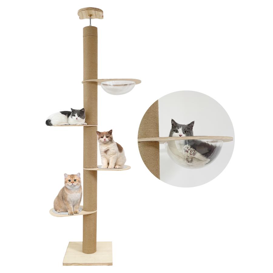 RAKU キャットタワー 突っ張り 木製 極太支柱12cm 高さ183-270cm対応 木登りタワー シングル 猫タワー 省スペース スリム 爪とぎ : えびす-JAPAN - 通販 - Yahoo!ショッピング RAKU キャットタワー 突っ張り 木製 極太支柱12cm 高さ183-270cm対応 木登りタワー シングル 猫タワー 省スペース スリム 爪とぎ : えびす-JAPAN - 通販 - Yahoo!ショッピング