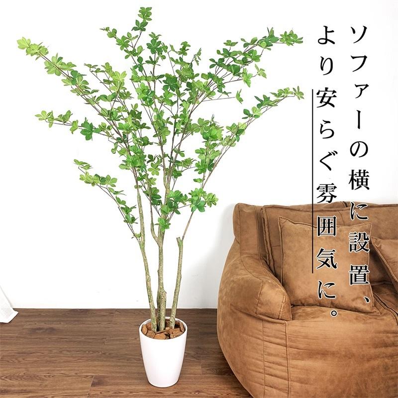 Raku フェイクグリーン ドウダンツツジ 人工観葉植物 人工観葉樹 造花 鉢付 155cm お手入れ簡単 水やり不要 虫害の心配なし オフィス 開店祝い えびす Japan 通販 Paypayモール