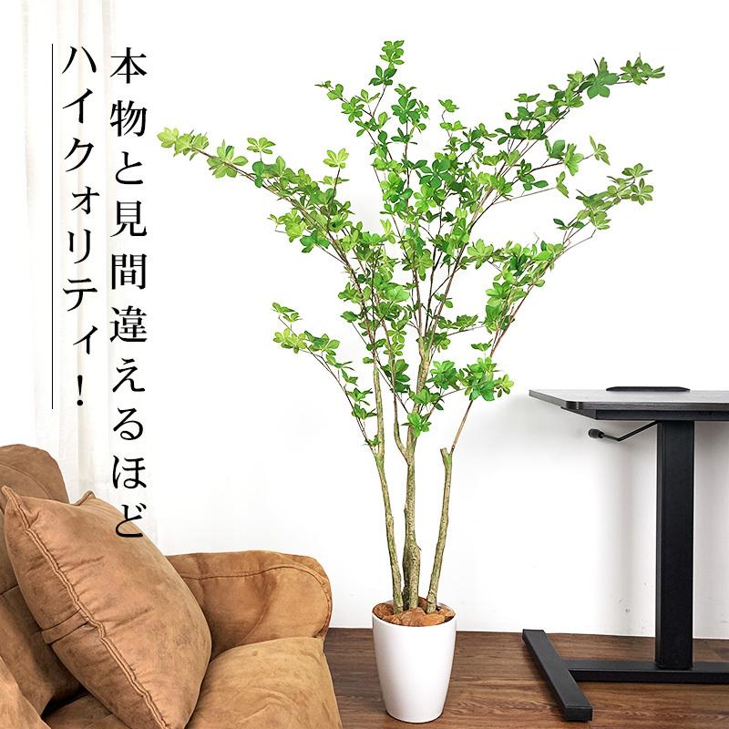 販売期間 限定のお得なタイムセール Raku フェイクグリーン ドウダンツツジ 人工観葉植物 人工観葉樹 造花 鉢付 155cm お手入れ簡単 水やり不要 虫害の心配なし オフィス 開店祝い12 980円 Aynaelda Com