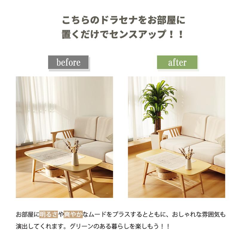 RAKU フェイクグリーン 人工観葉植物 人工観葉樹 造花 幸福の木 RAKU フェイクグリーン 人工観葉植物 人工観葉樹 造花 幸福の木