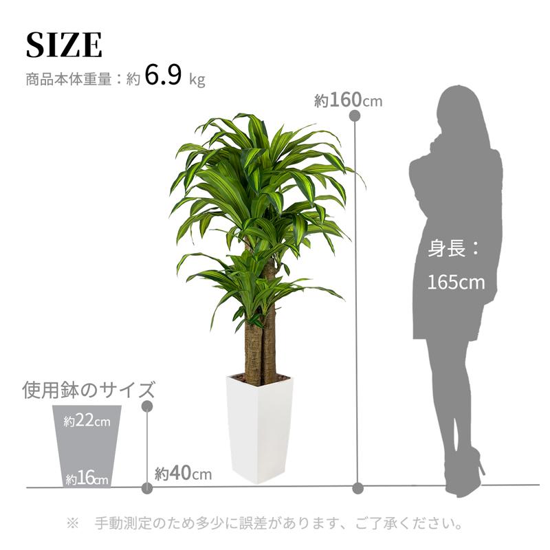 RAKU フェイクグリーン 人工観葉植物 人工観葉樹 造花 幸福の木 RAKU フェイクグリーン 人工観葉植物 人工観葉樹 造花 幸福の木