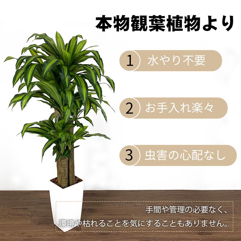 RAKU フェイクグリーン 人工観葉植物 人工観葉樹 造花 幸福の木 RAKU フェイクグリーン 人工観葉植物 人工観葉樹 造花 幸福の木
