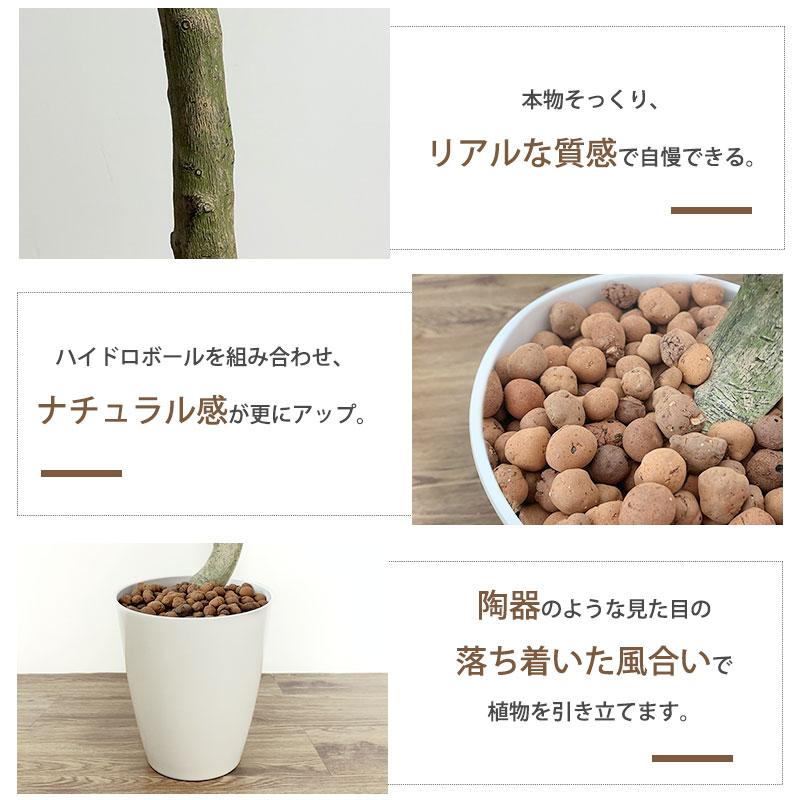 RAKU P17 フェイクグリーン 人工観葉植物 人工観葉樹 造花