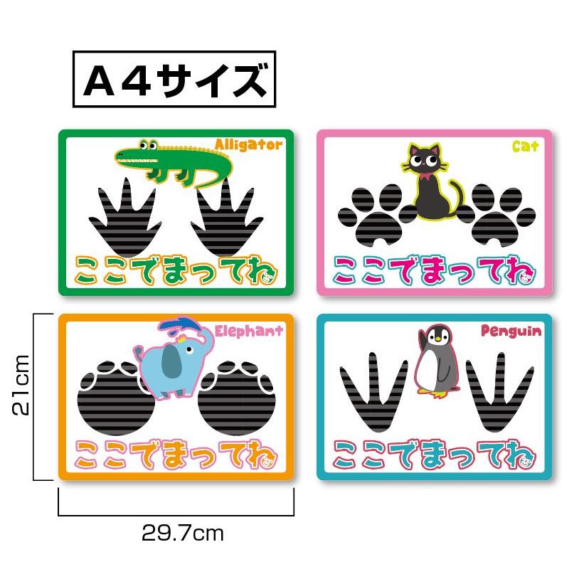 足跡ステッカー　４枚セット　かわいい　動物　Ａ４ |  | 01