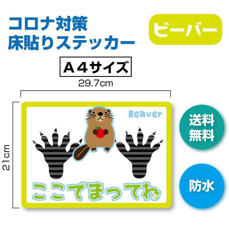 足跡ステッカー　ビーバー　かわいい　動物柄　防水シール　Ａ４ | 