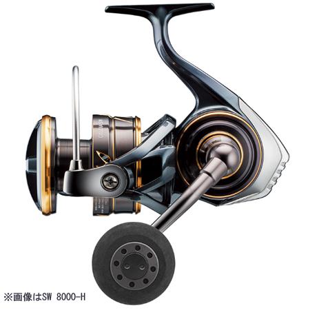 DAIWA（ダイワ） 22 カルディア SW 18000 : エビススリー - 通販