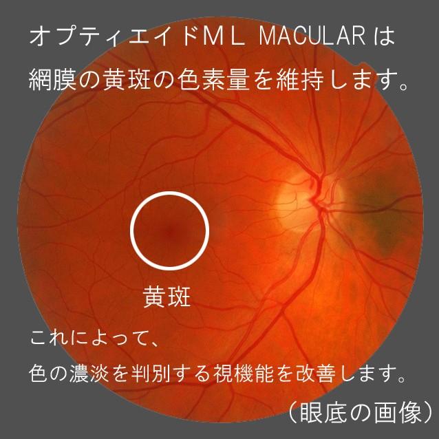 オプティエイドML MACULAR 90粒入り ルテイン20ｍｇ配合 わかもと製薬 