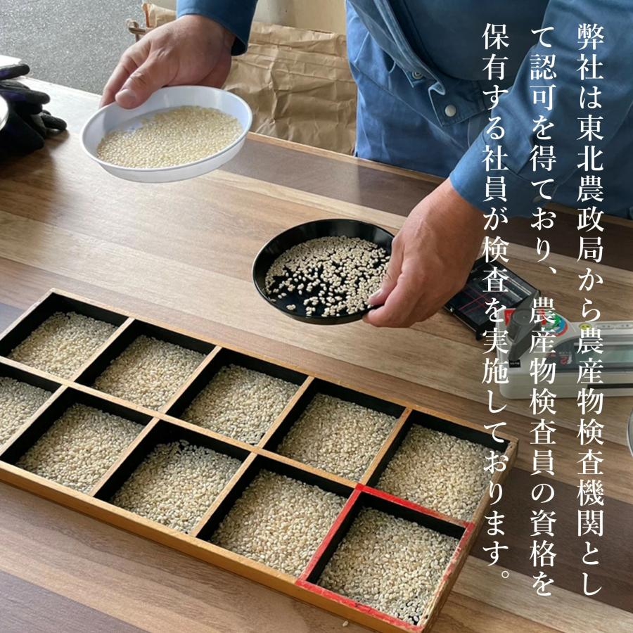はえぬき 令和7年産 米 10kg 5kg×2袋 お米 白米 山形県産 送料無料 一