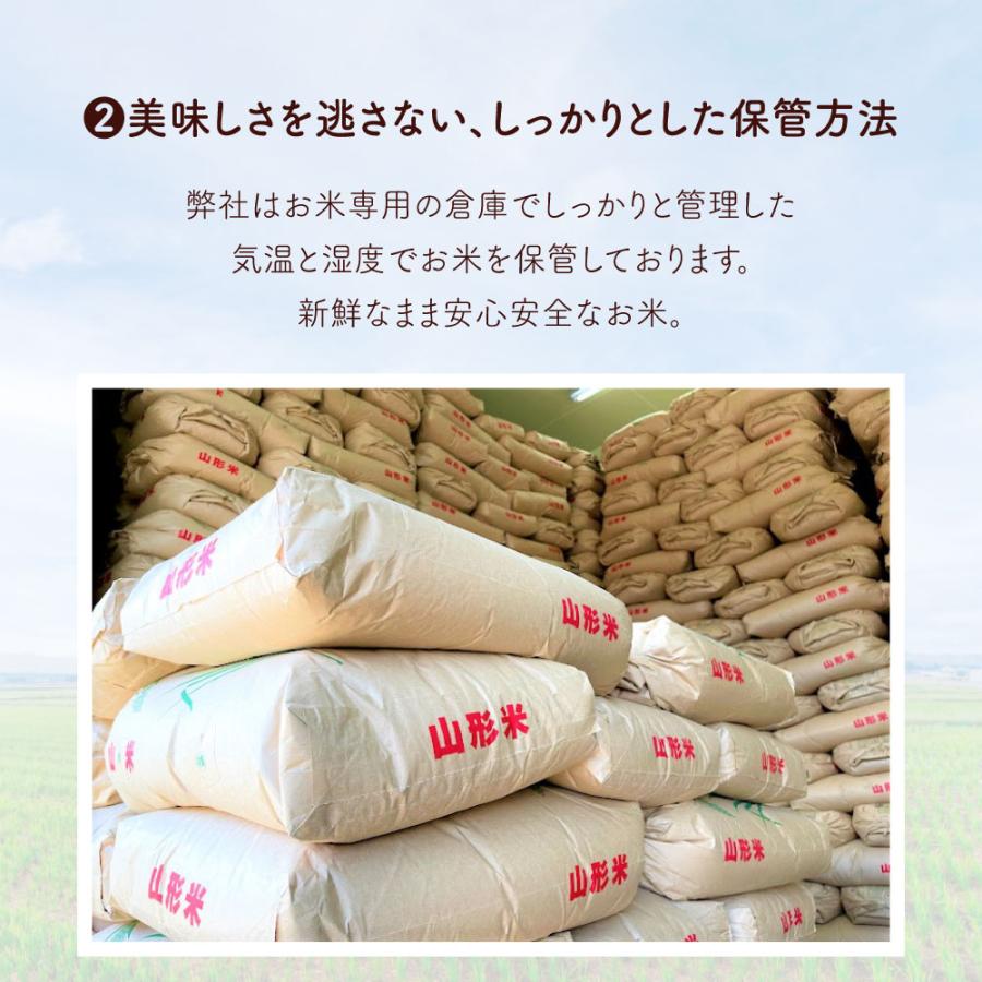 はえぬき 令和7年産 米 10kg 5kg×2袋 お米 白米 山形県産 送料無料 一