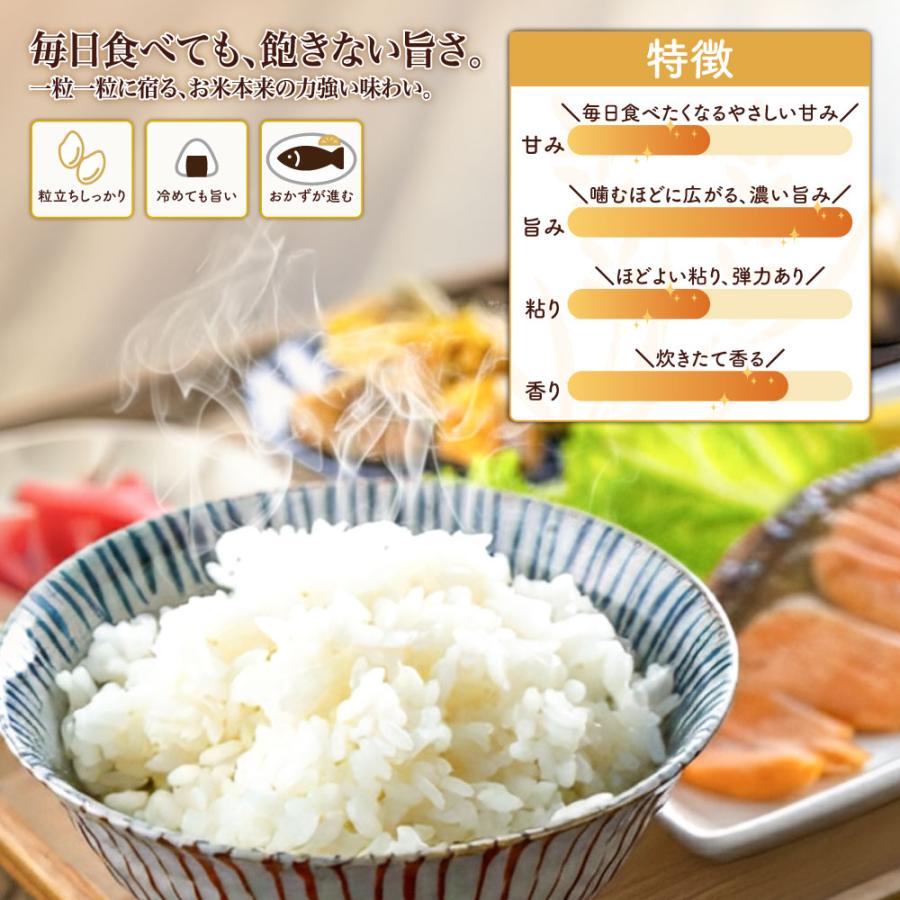 はえぬき 令和7年産 米 10kg 5kg×2袋 お米 白米 山形県産 送料無料 一