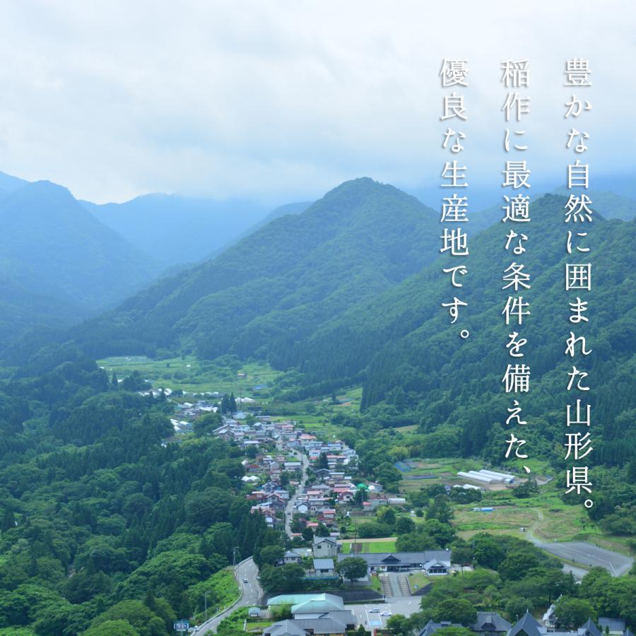 米 10kg はえぬき お米 令和5年 新米 白米 玄米 山形県産 送料無料 5kg×2袋 一等米｜ebisumurayama｜09