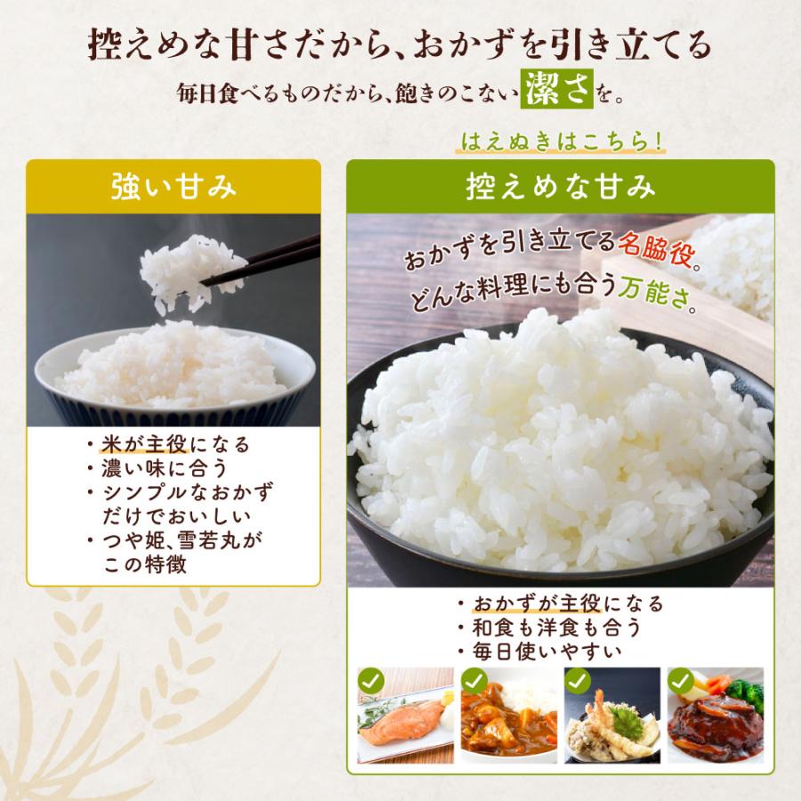 はえぬき 令和7年産 米 10kg 5kg×2袋 お米 白米 山形県産 送料無料 一