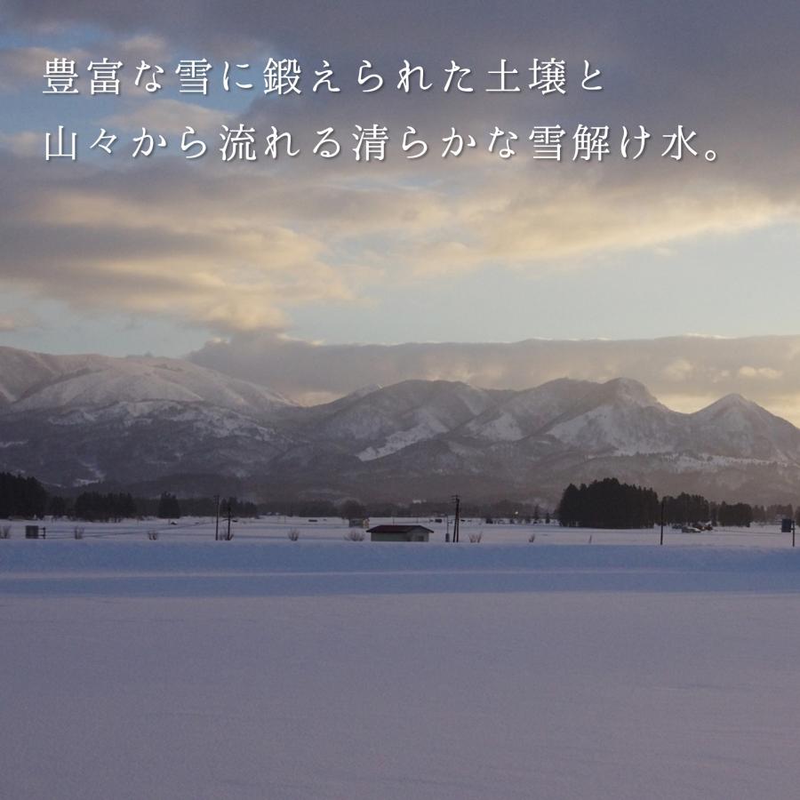 米 10kg はえぬき お米 令和5年 新米 白米 玄米 山形県産 送料無料 5kg×2袋 一等米｜ebisumurayama｜08