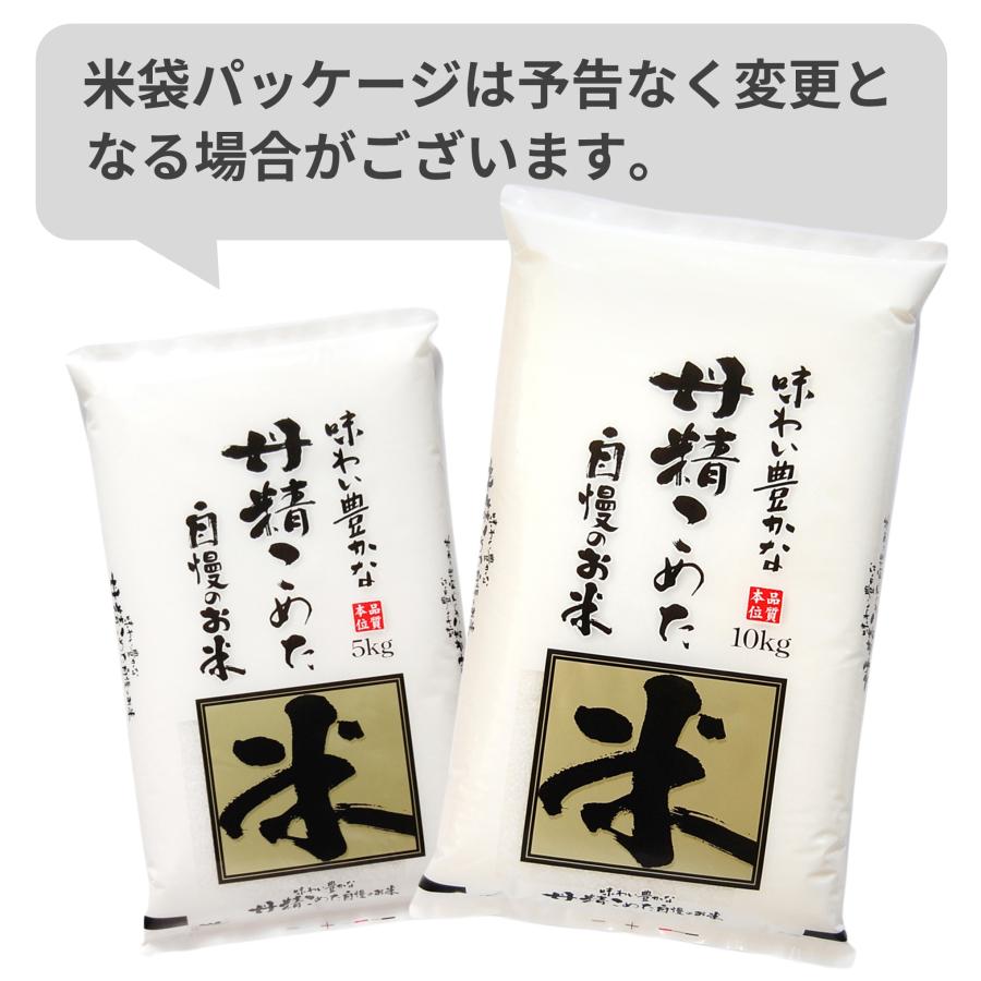 はえぬき 令和7年産 米 10kg 5kg×2袋 お米 白米 山形県産 送料無料 一